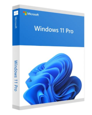 Windows 11 Pro